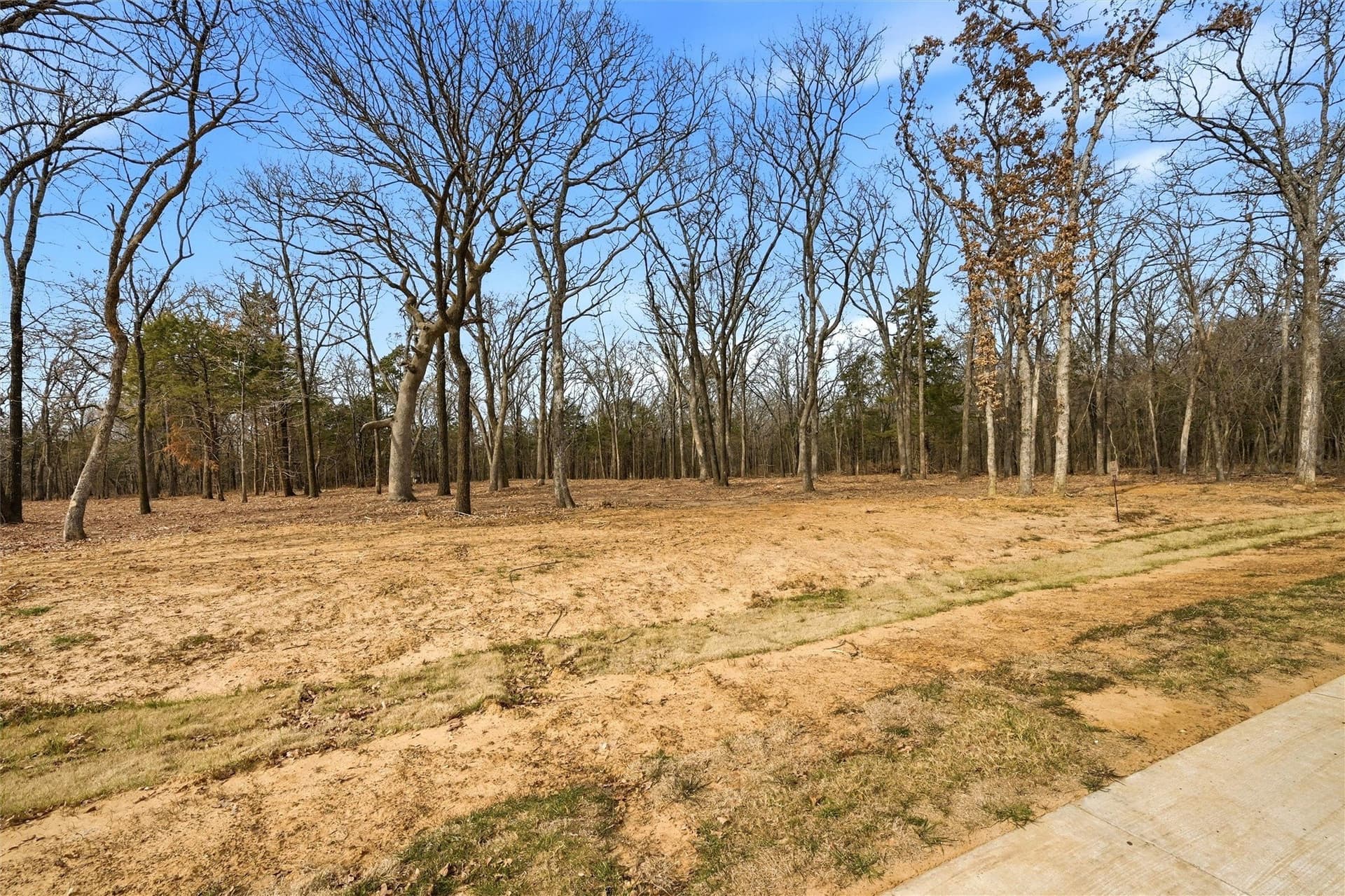1.1 acres in Grayson County - photo 5