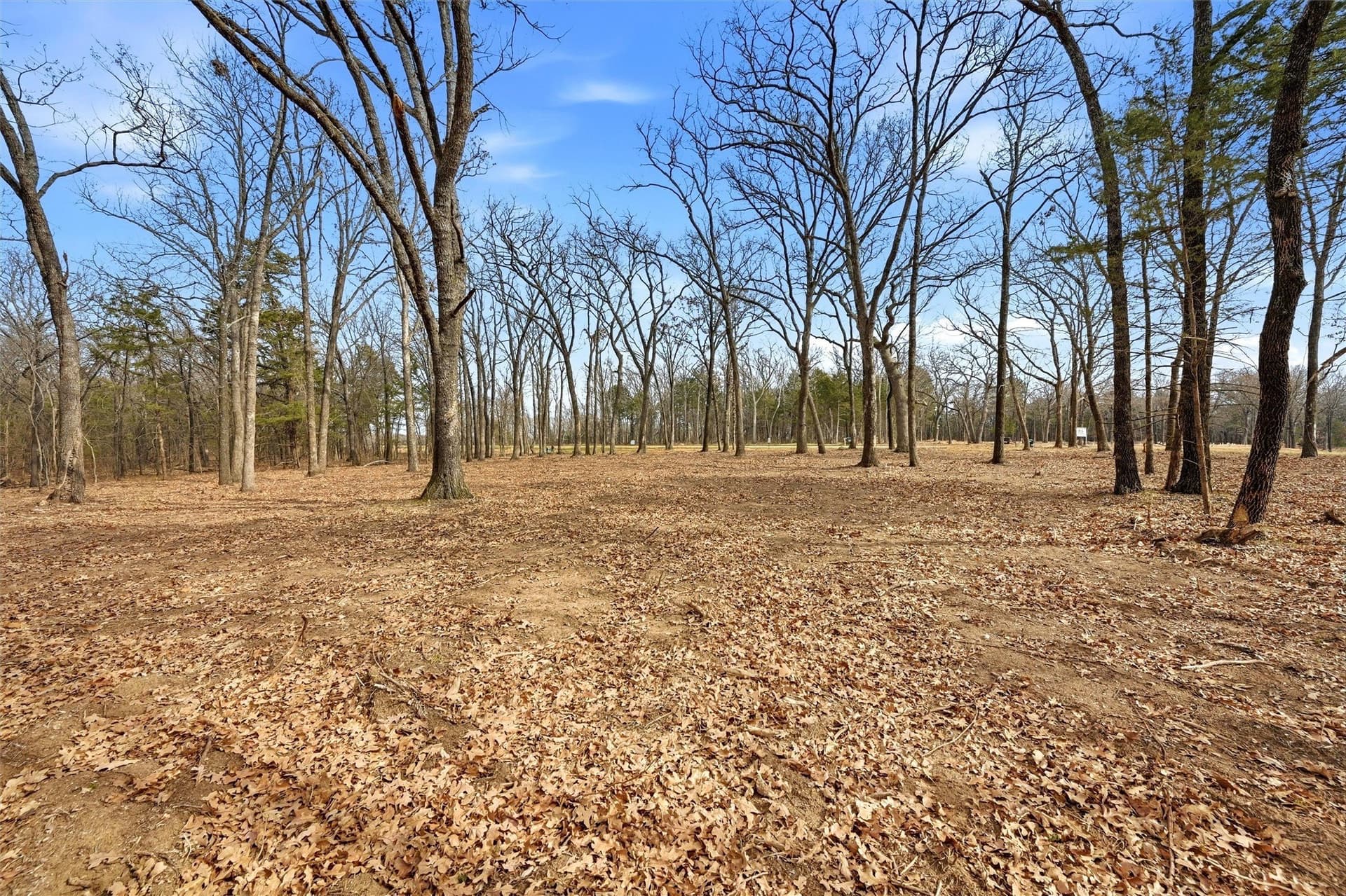 1.1 acres in Grayson County - photo 15