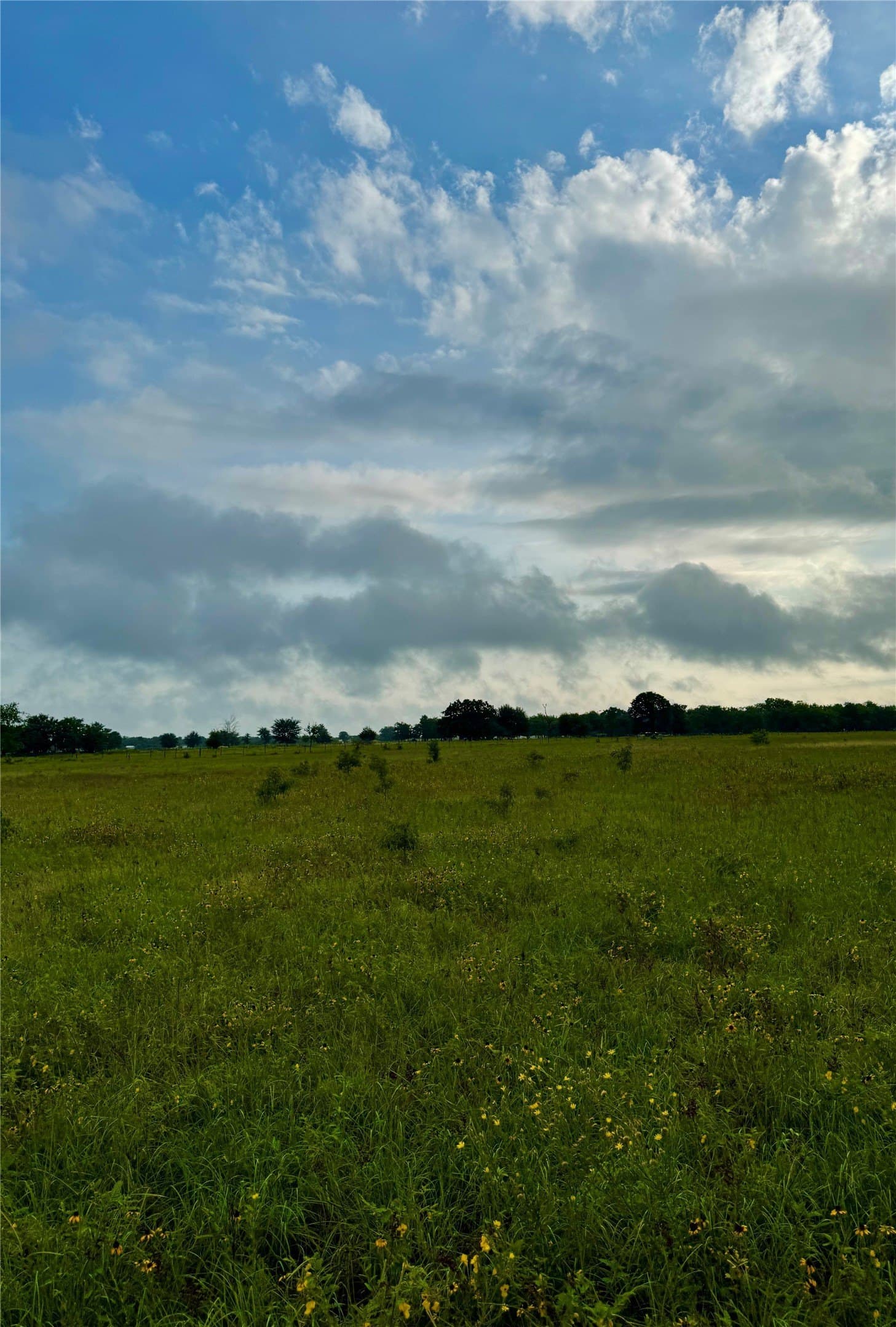 31.49 acres in Kaufman County - photo 37