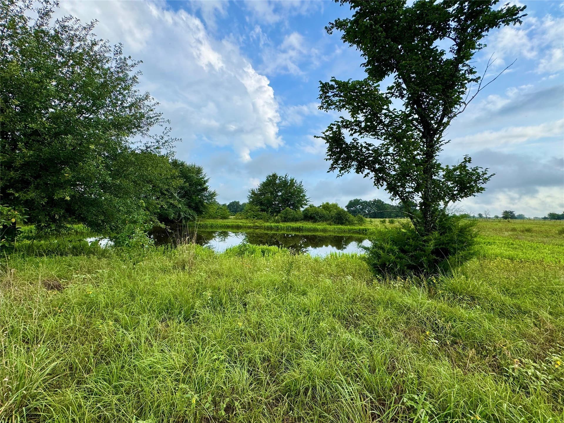 31.49 acres in Kaufman County - photo 36