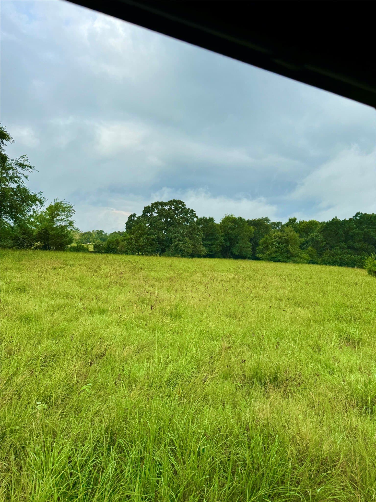 31.49 acres in Kaufman County - photo 35