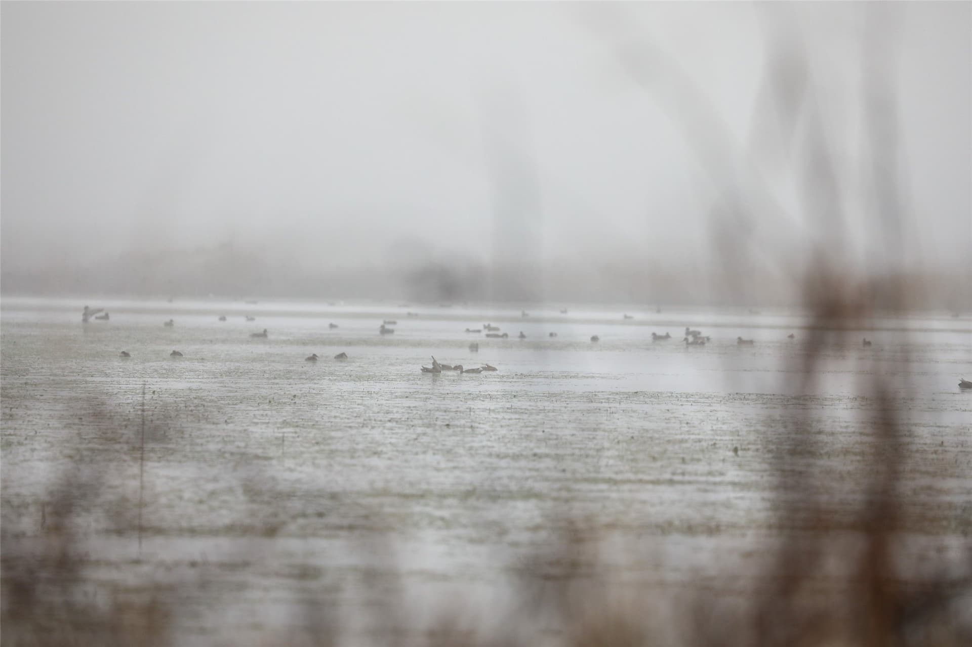 2,523 acres in Red River (TX) County - photo 10