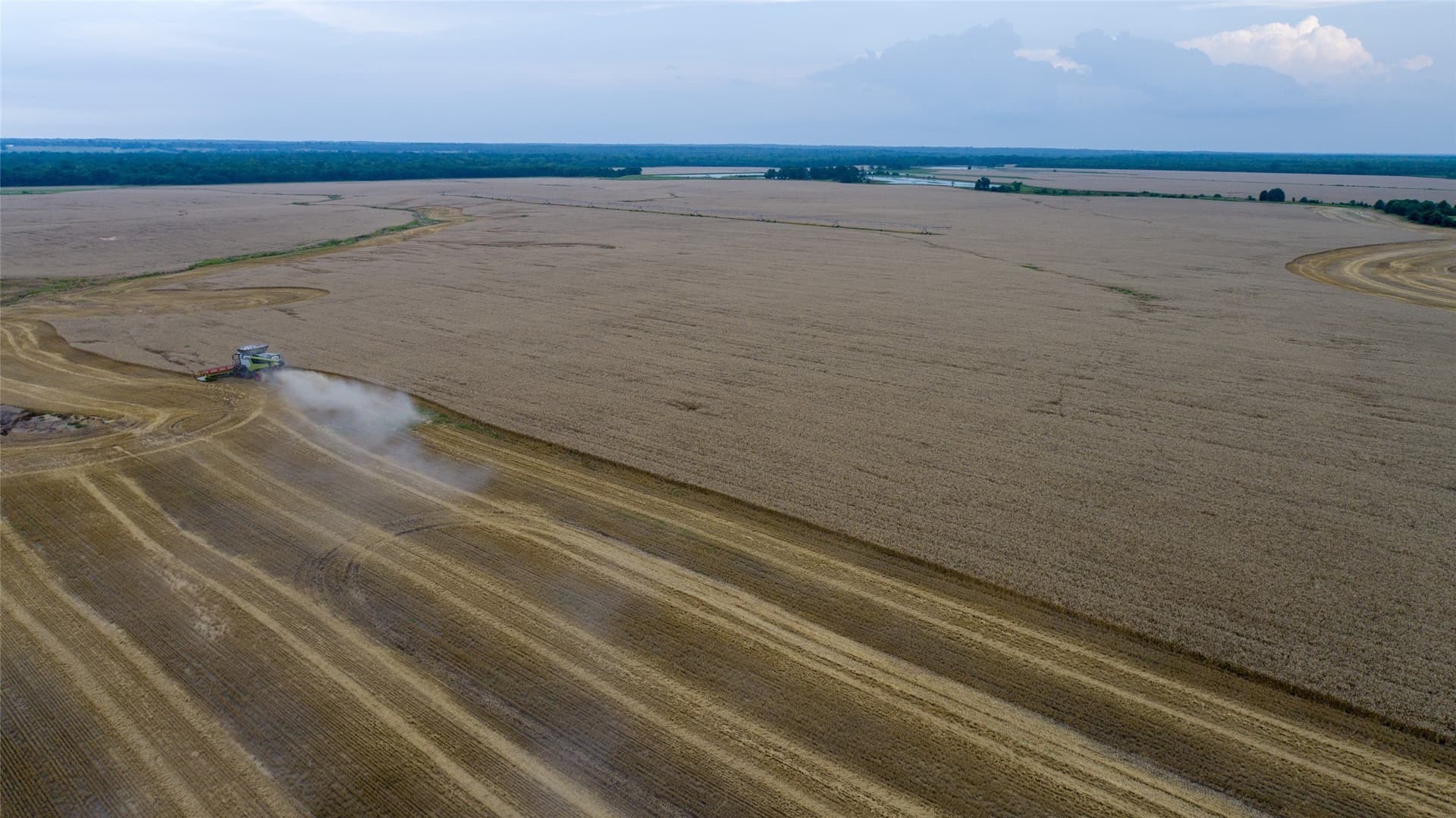 2,523 acres in Red River (TX) County - photo 4