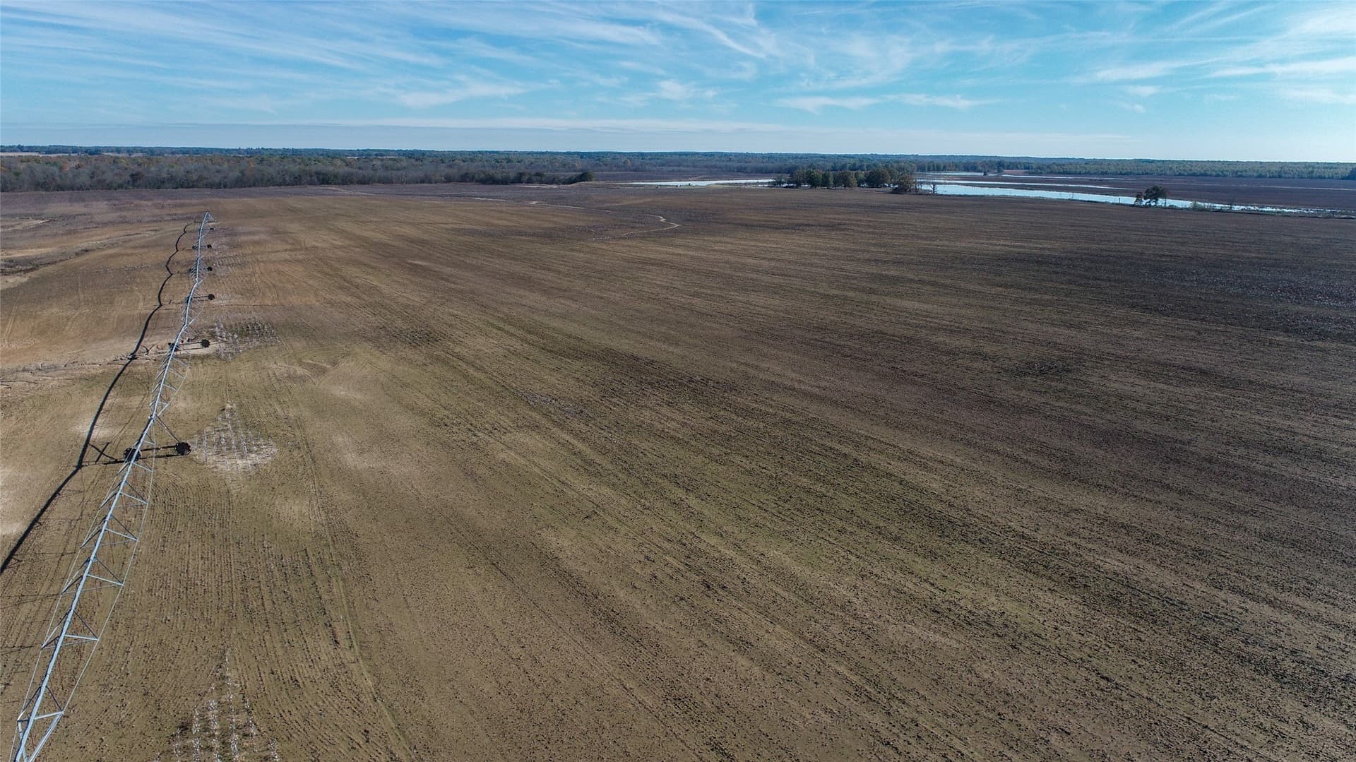 2,523 acres in Red River (TX) County - photo 8