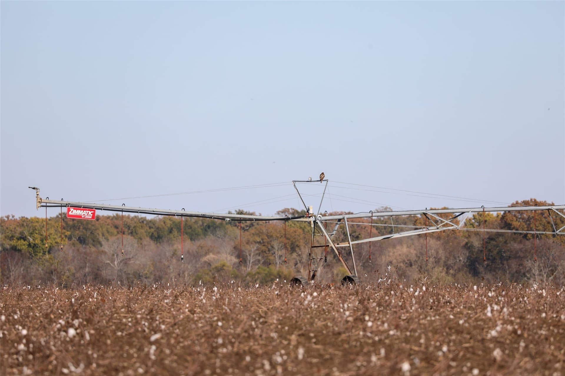 2,523 acres in Red River (TX) County - photo 6