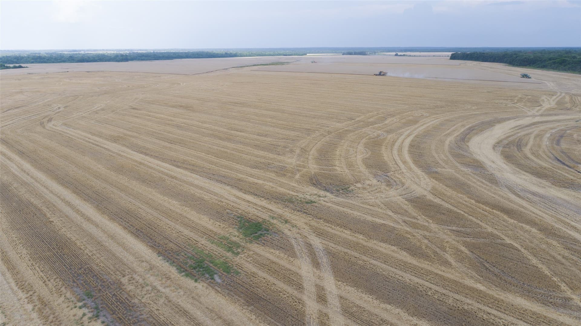 2,523 acres in Red River (TX) County - photo 22