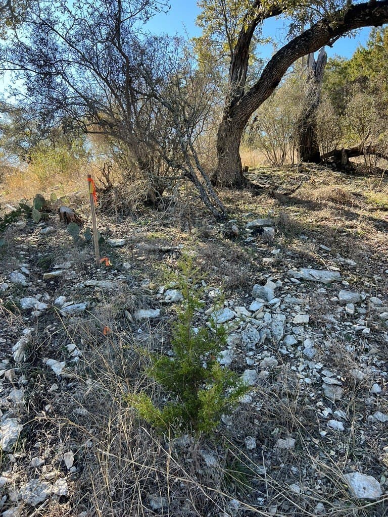 0.32 acres in Hays County featured view