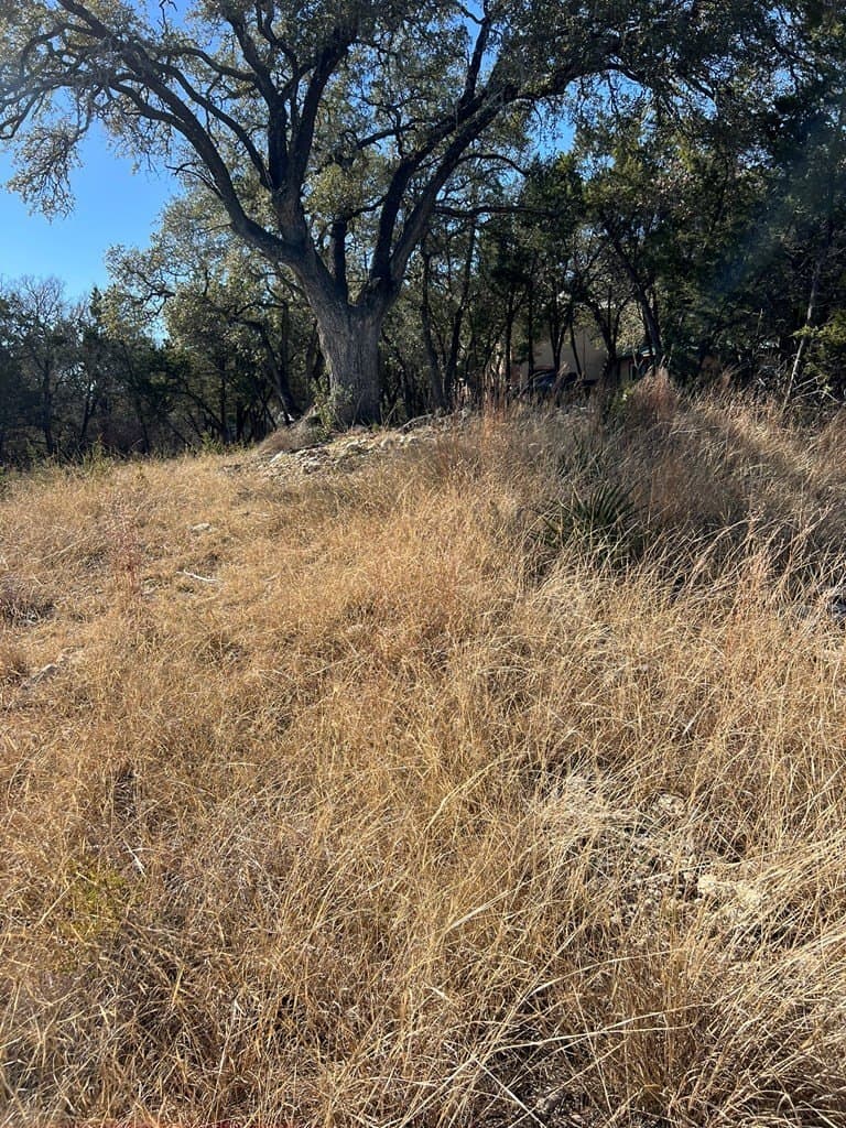 0.32 acres in Hays County gallery image 3