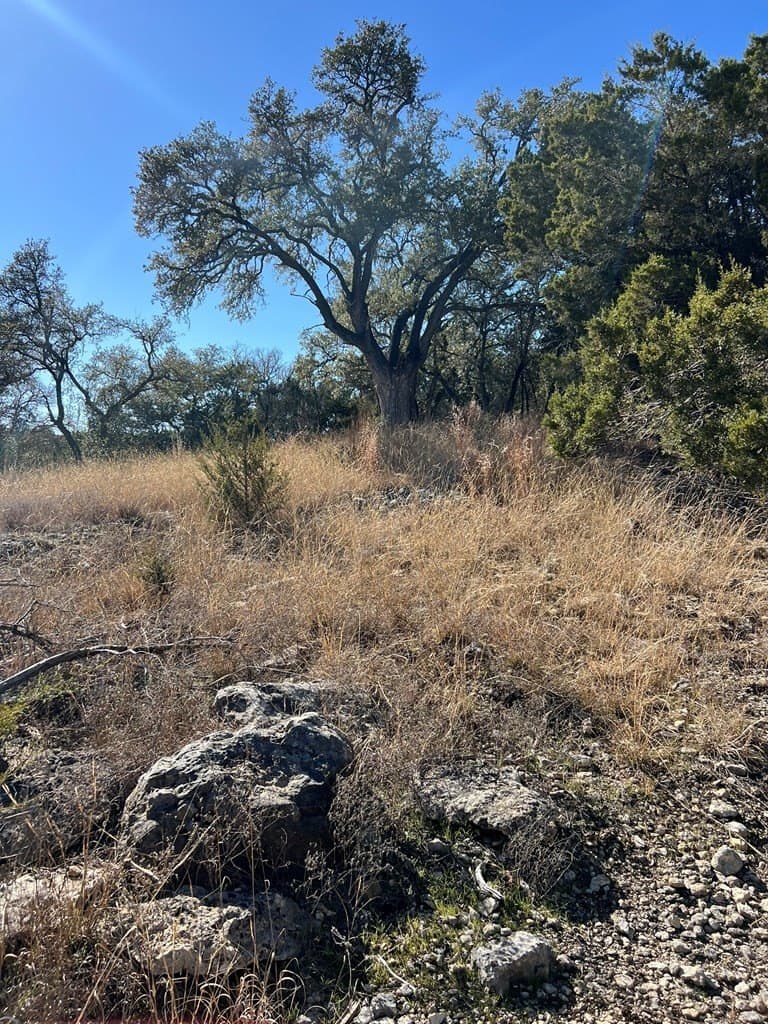 0.32 acres in Hays County gallery image 4