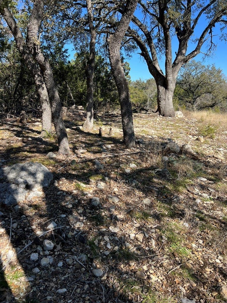 0.32 acres in Hays County gallery image 2