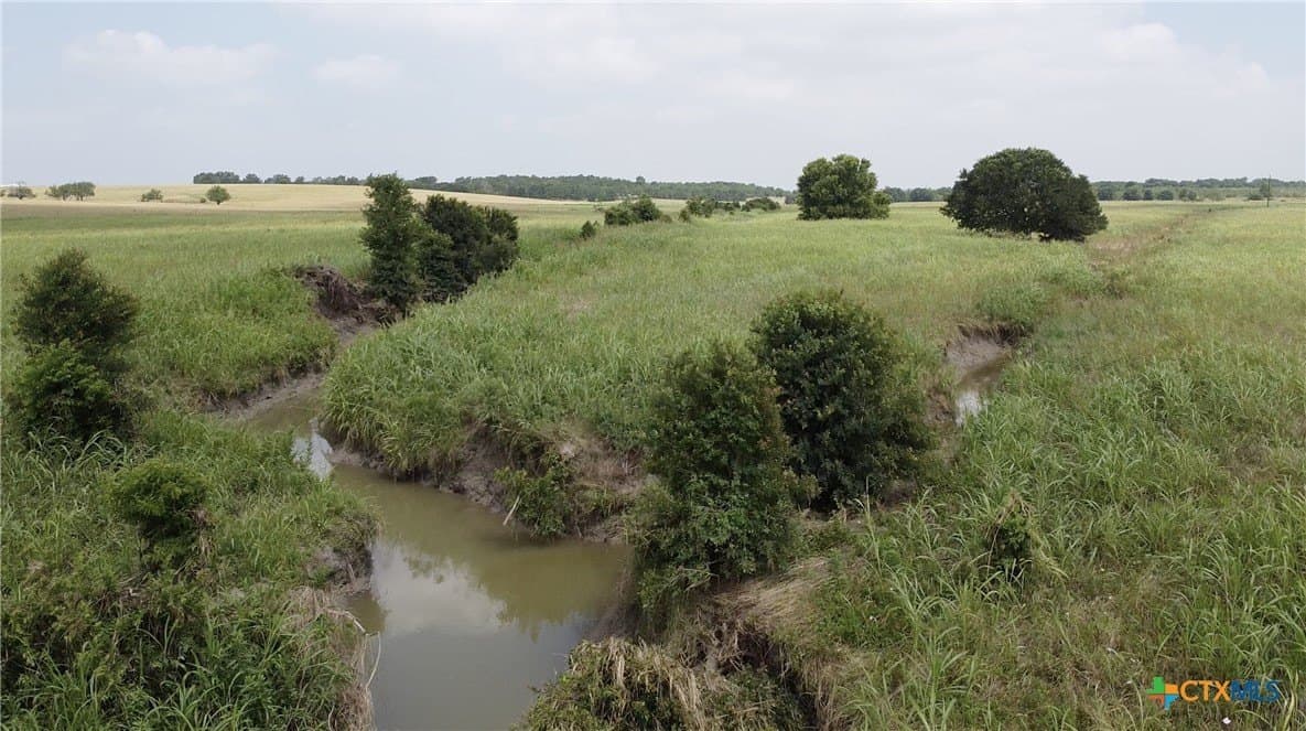 30 acres in Milam County featured view