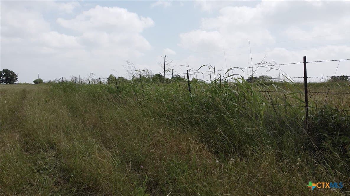 30 acres in Milam County gallery image 4