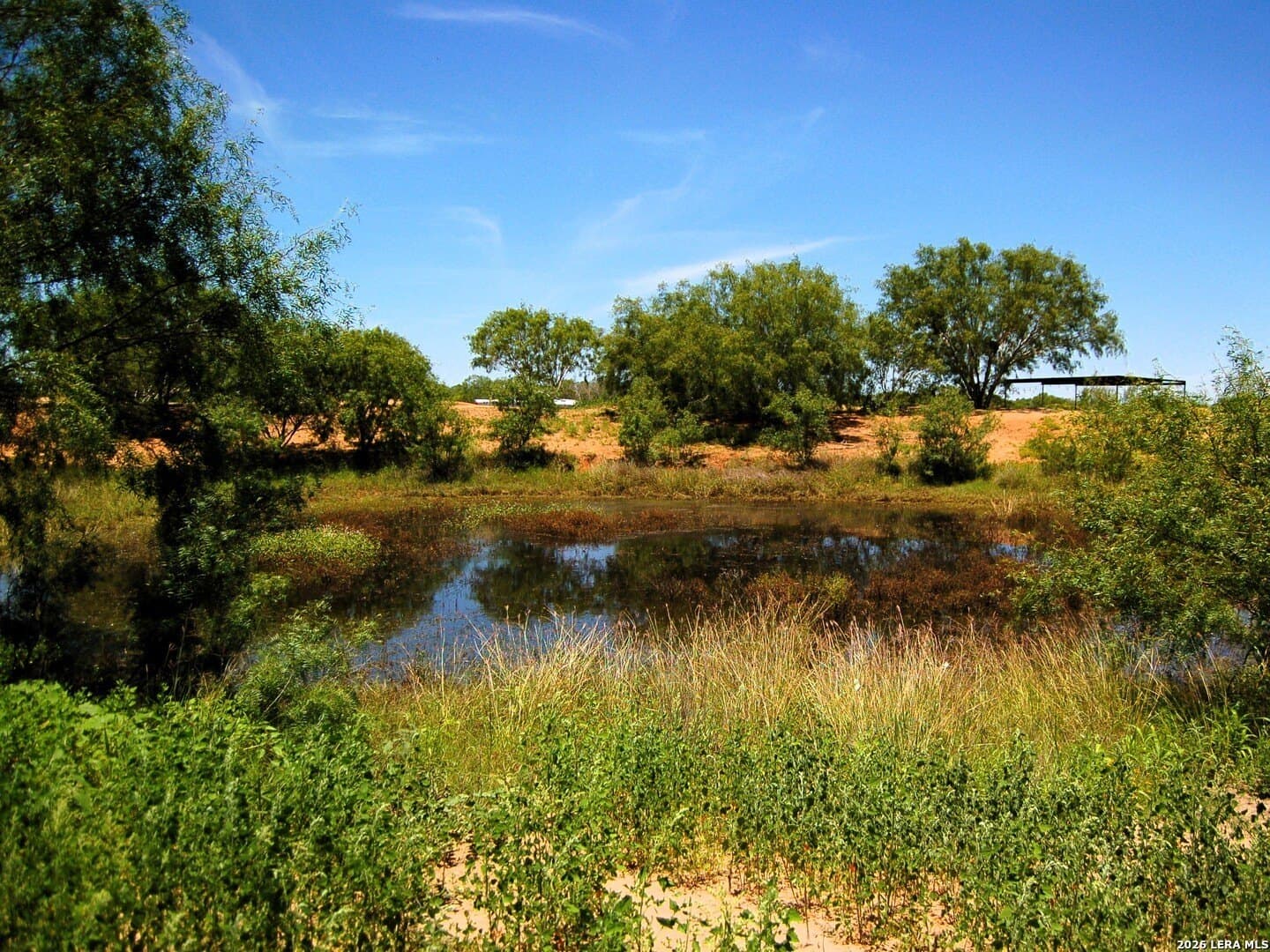 10 acres in Frio County - photo 37