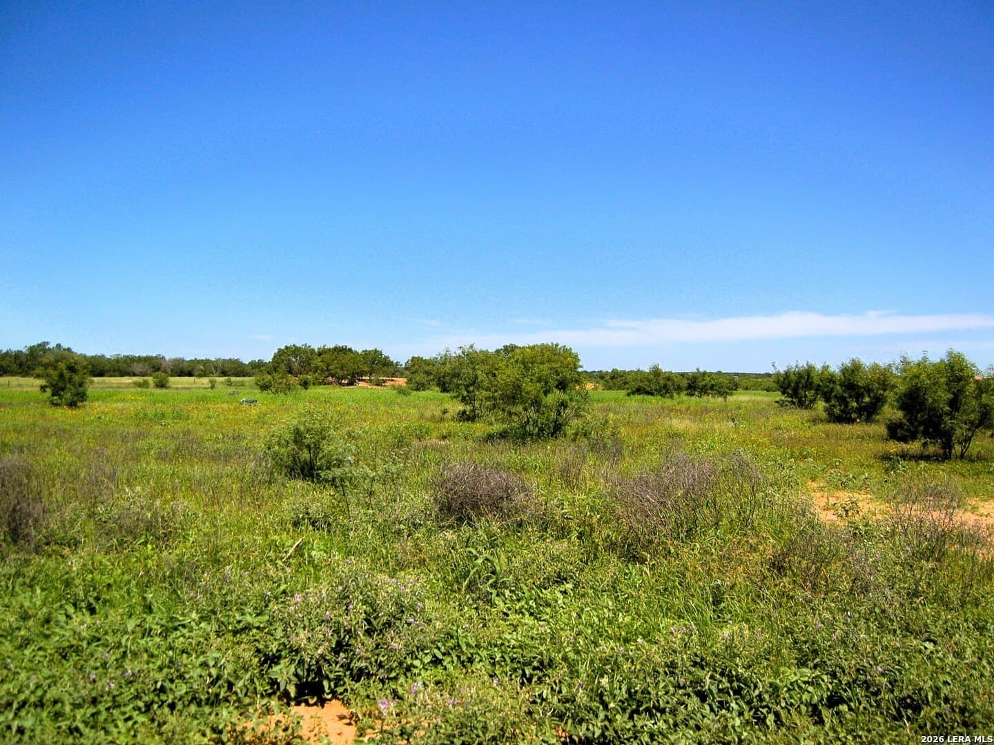 10 acres in Frio County - photo 31