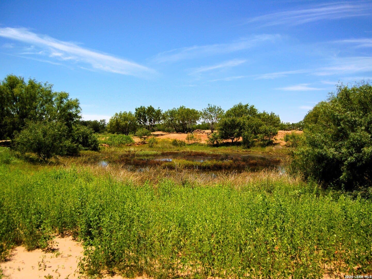 10 acres in Frio County - photo 39