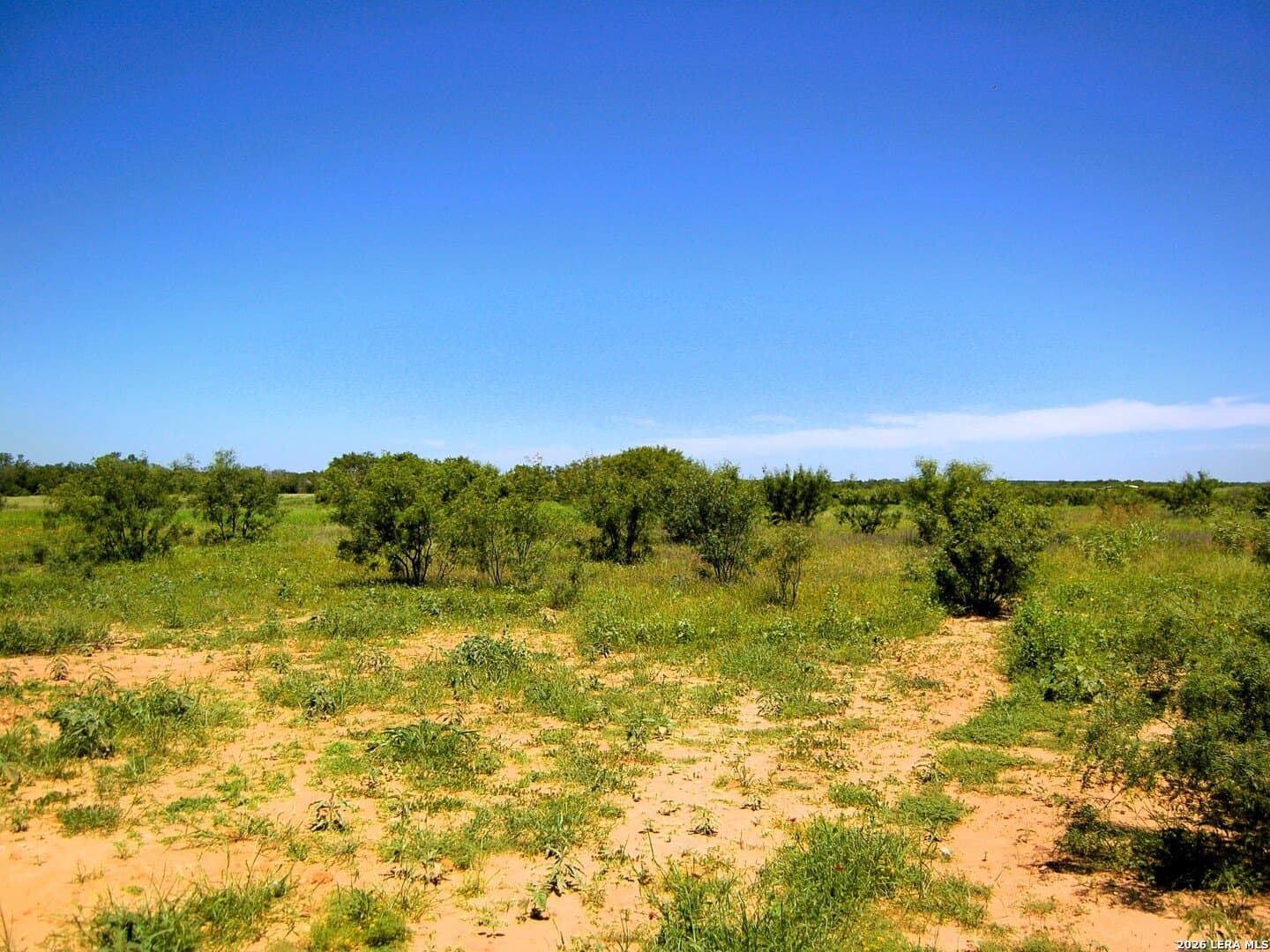 10 acres in Frio County - photo 30