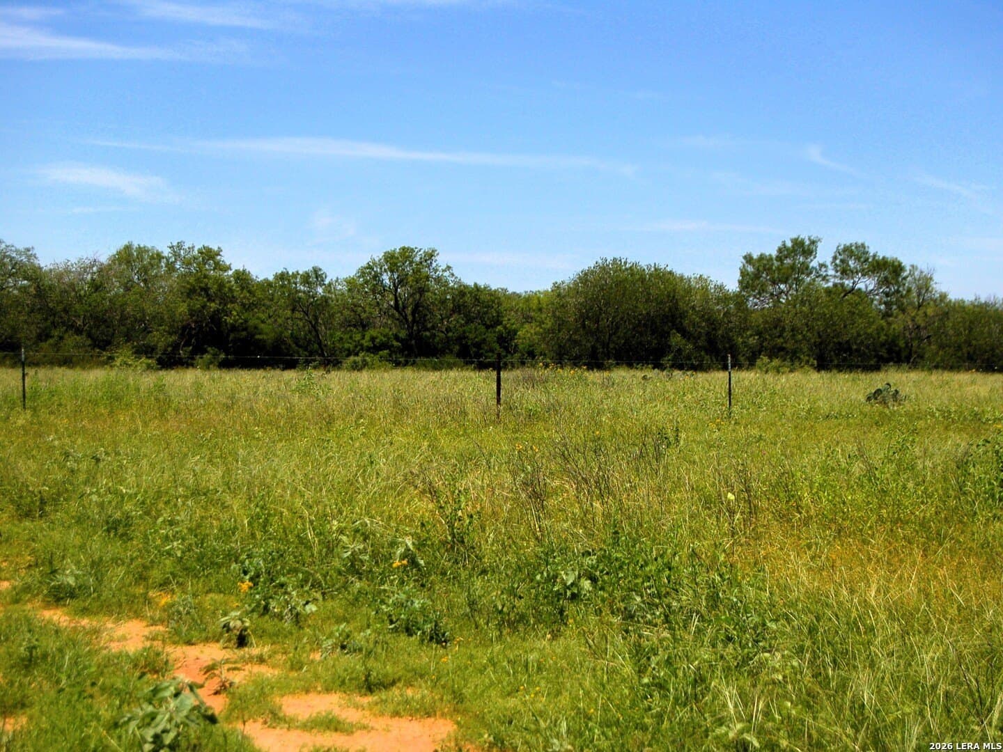 10 acres in Frio County - photo 44