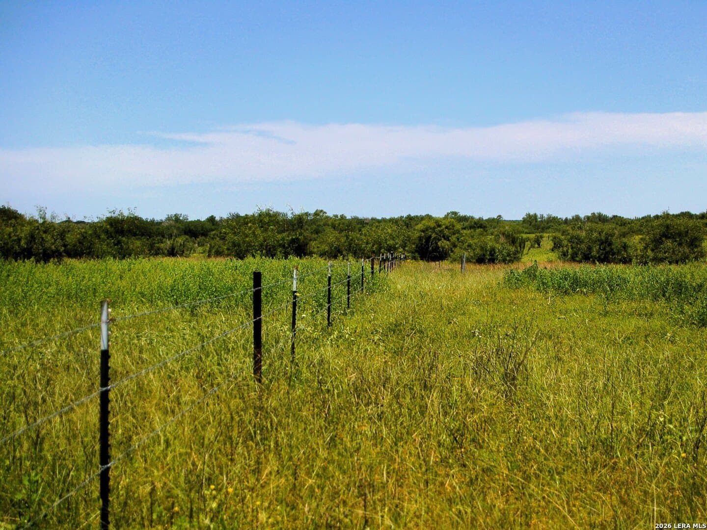 10 acres in Frio County - photo 45