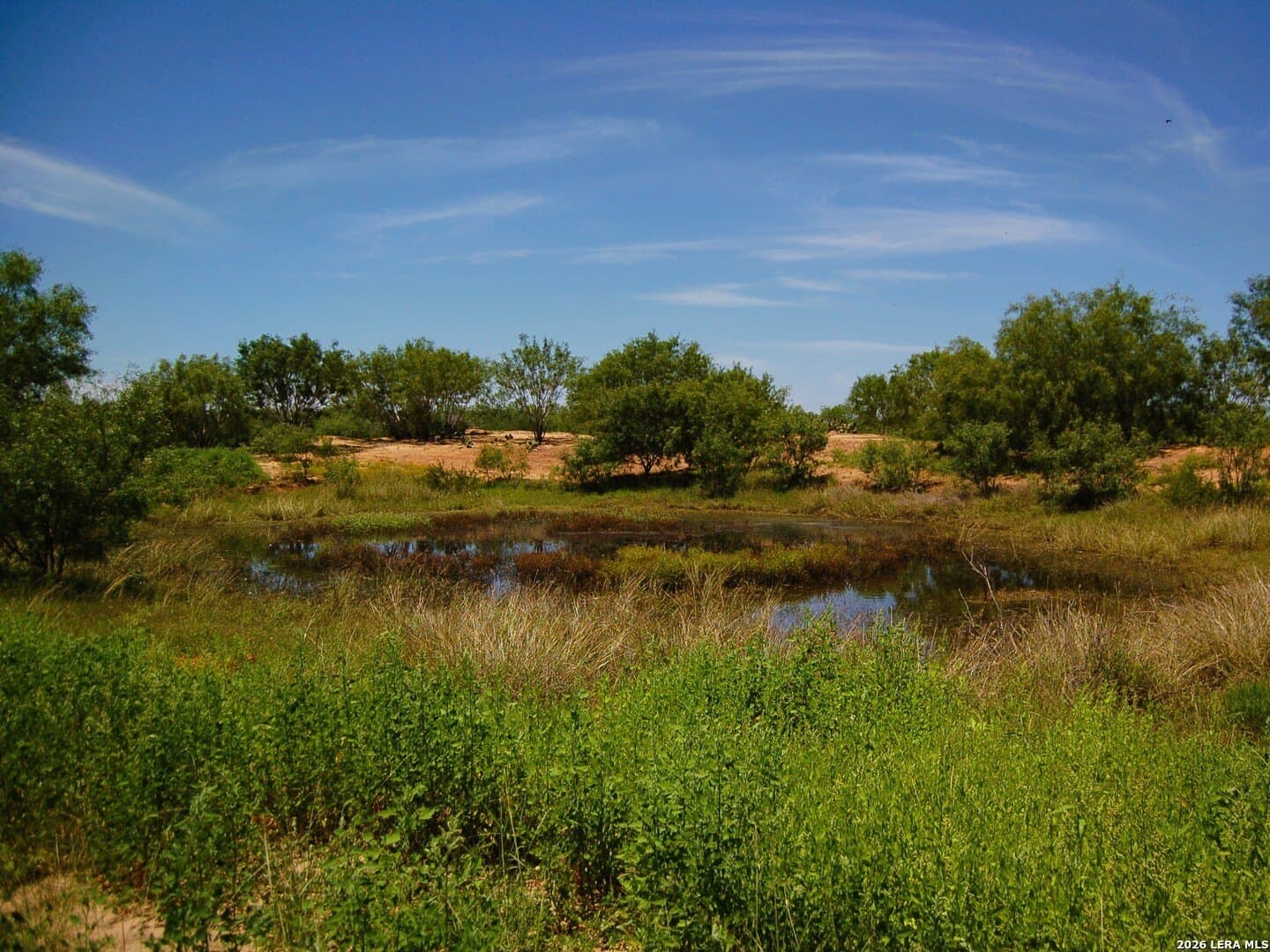 10 acres in Frio County - photo 38