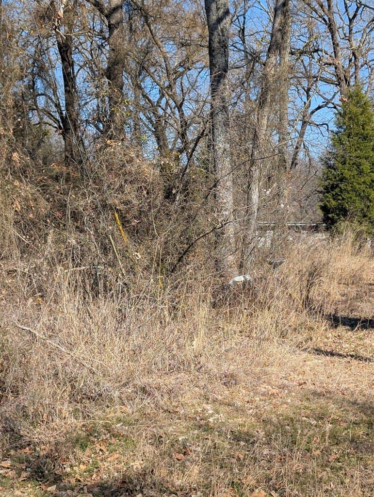 0.12 acres in Henderson County gallery image 2