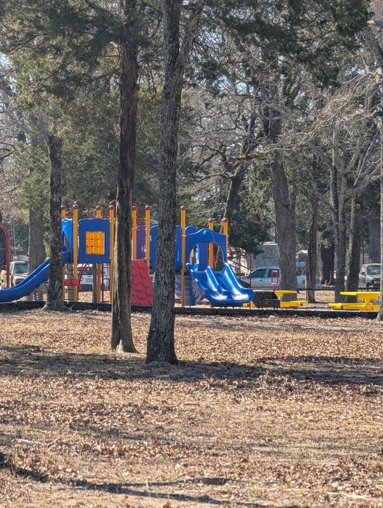 0.12 acres in Henderson County gallery image 3