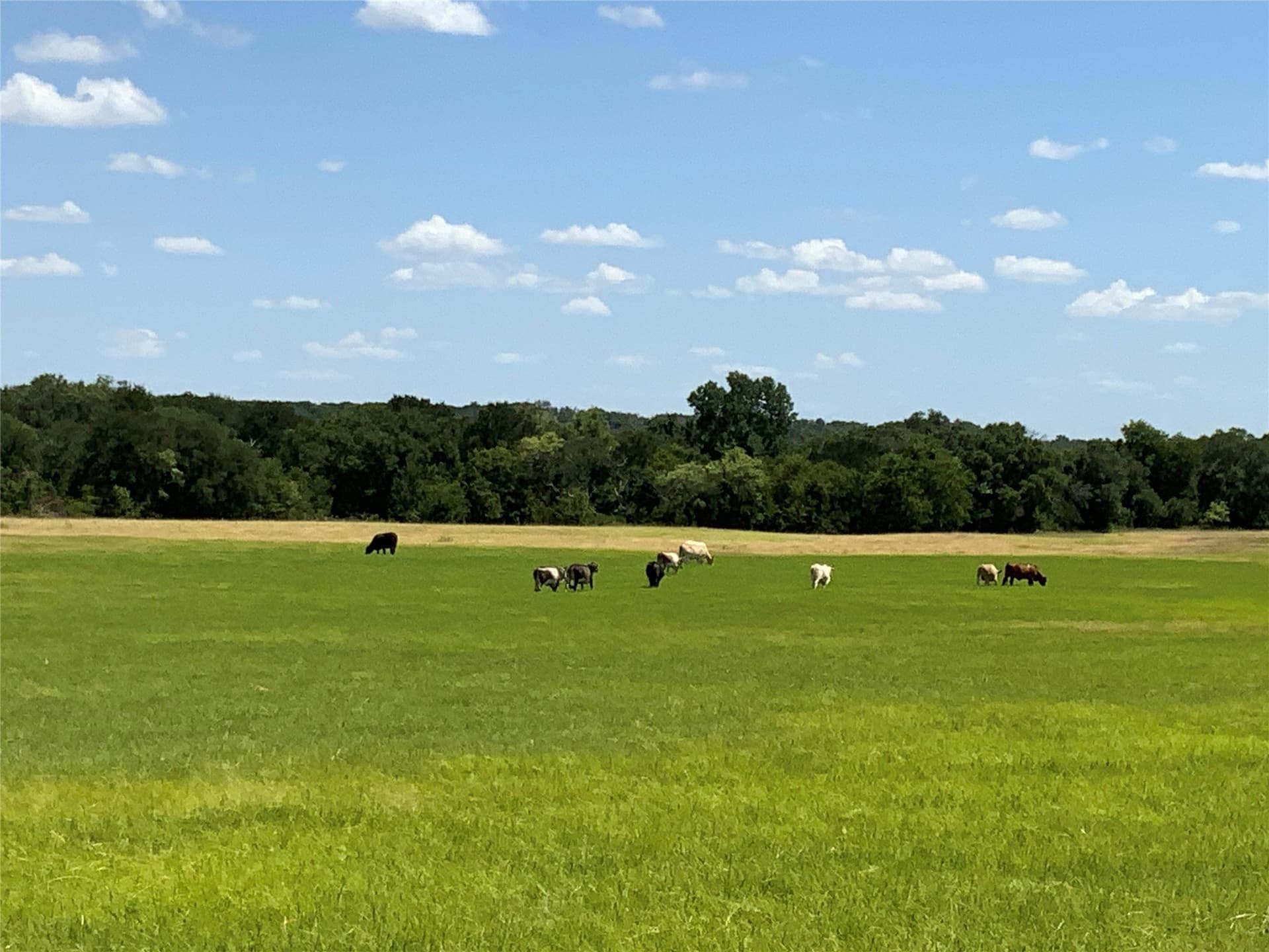 89.77 acres in Comanche County - photo 37