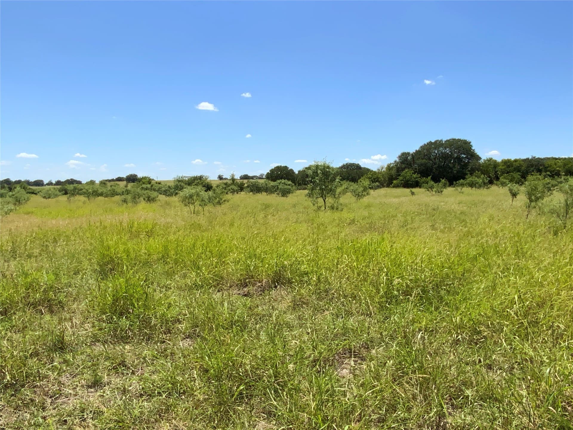 89.77 acres in Comanche County - photo 35