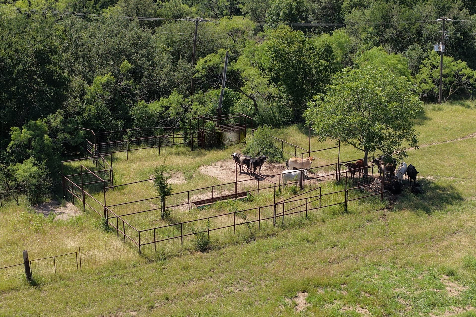 89.77 acres in Comanche County - photo 11
