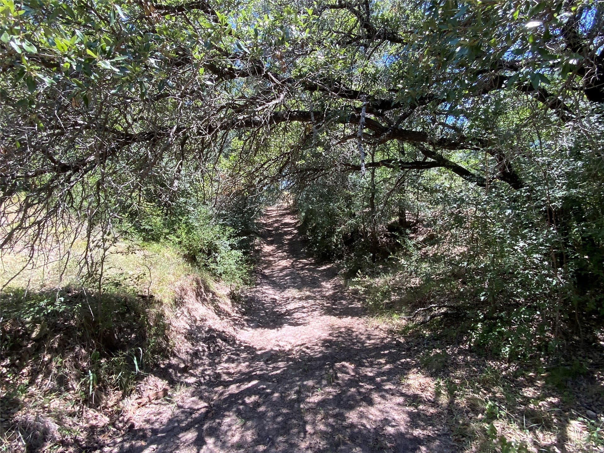 89.77 acres in Comanche County - photo 28