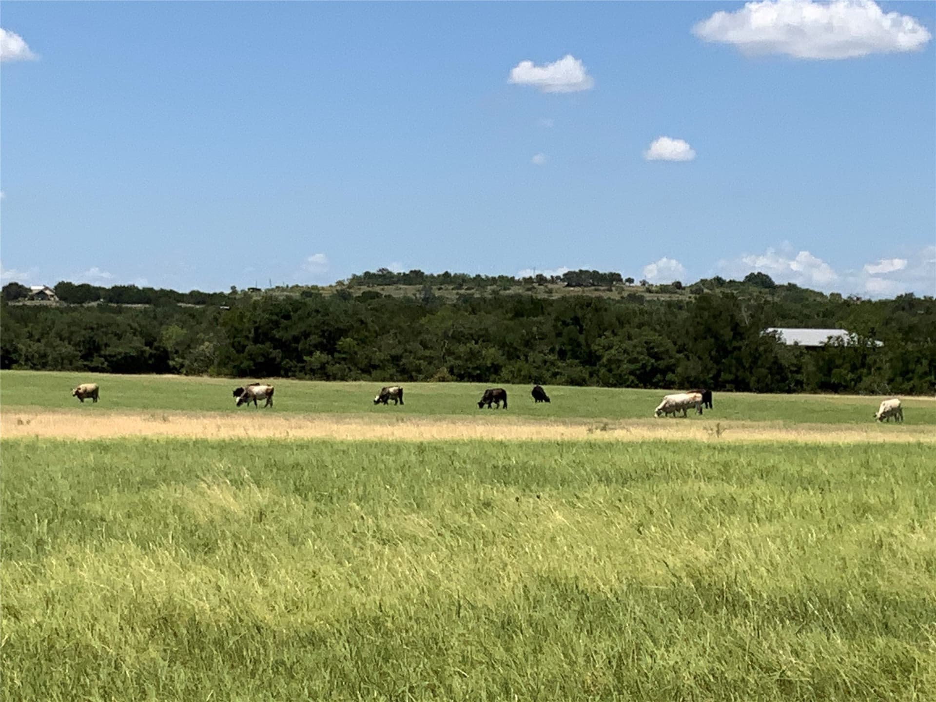 89.77 acres in Comanche County - photo 38