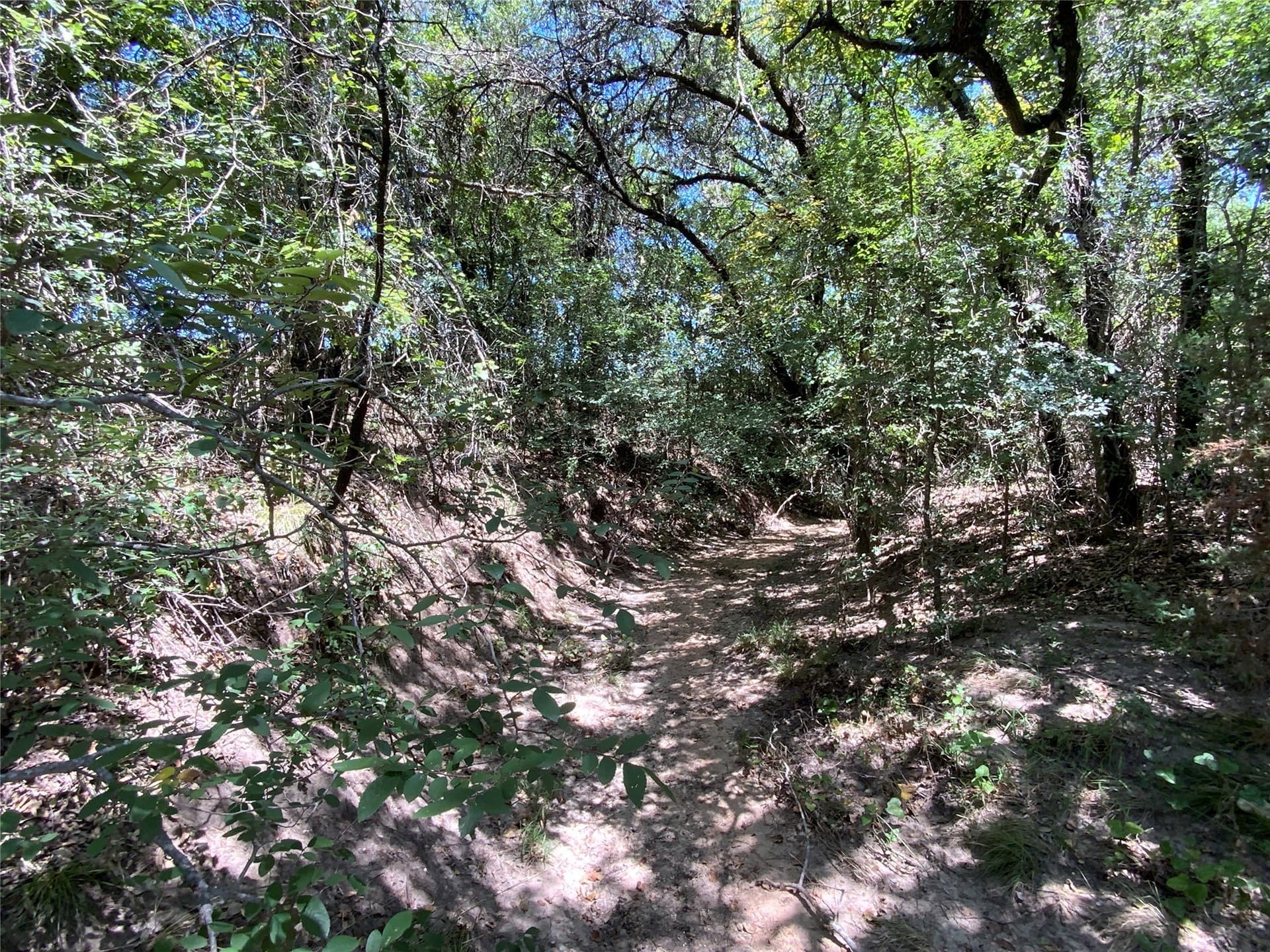 89.77 acres in Comanche County - photo 29