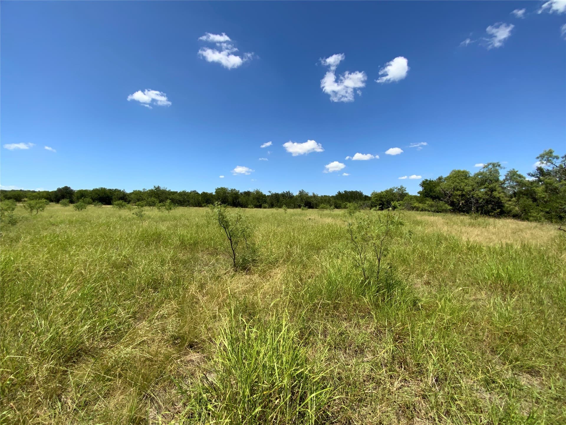 89.77 acres in Comanche County - photo 36