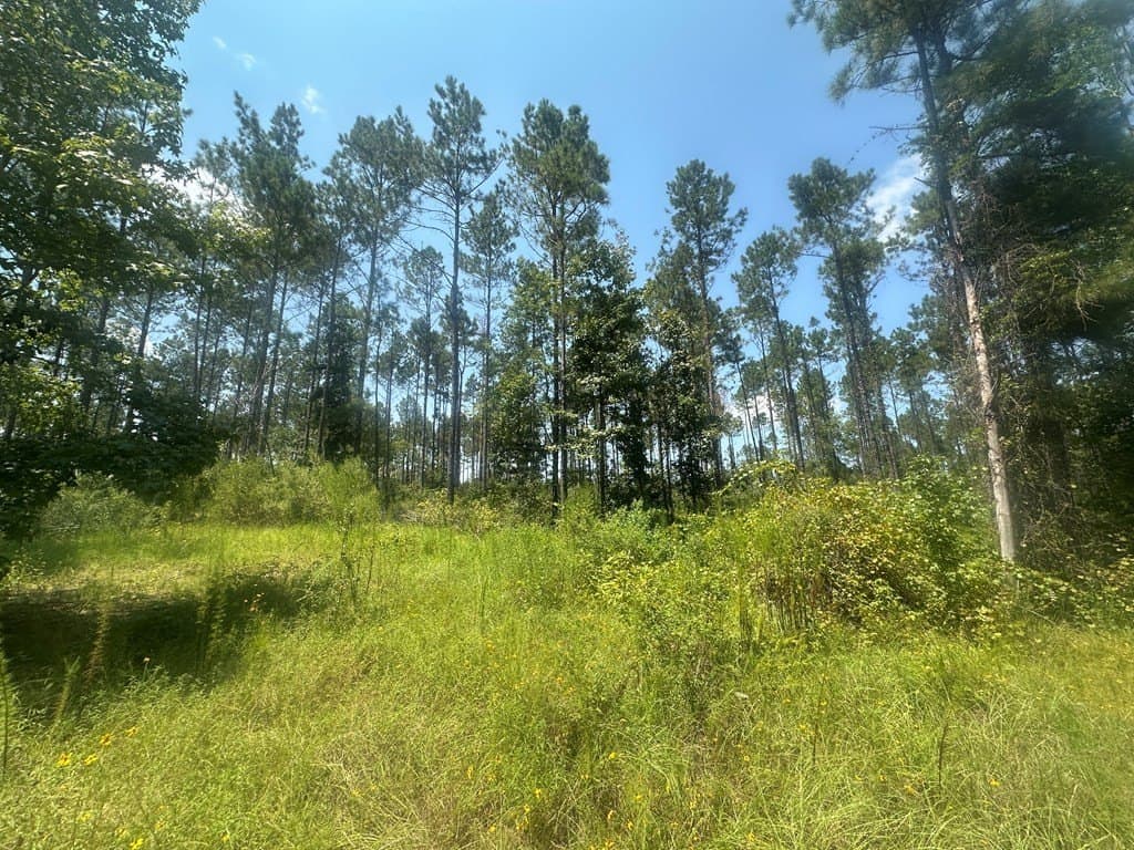26.99 acres in Texas County - photo 6