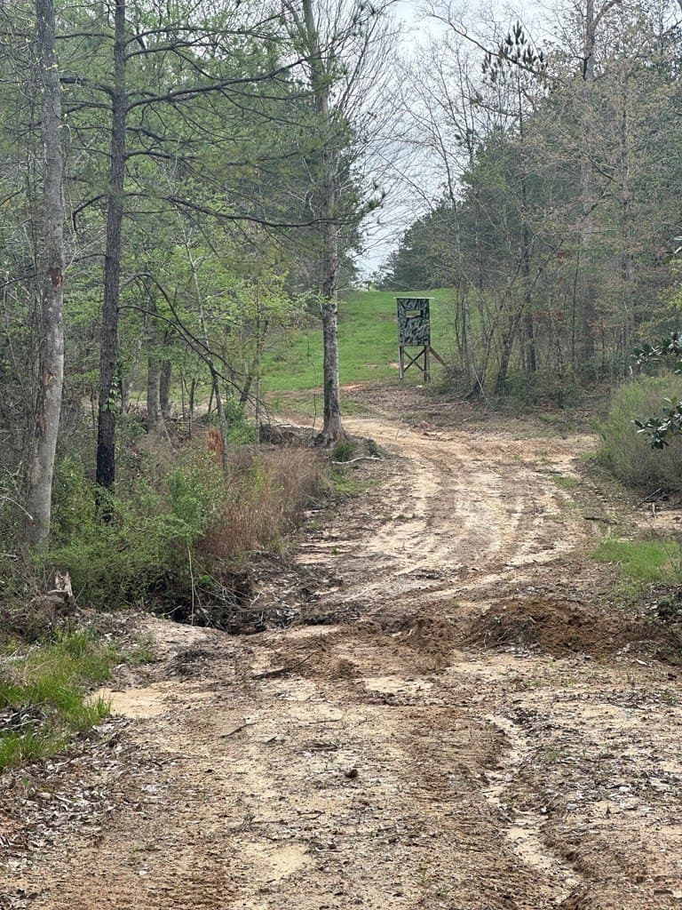26.99 acres in Texas County featured view