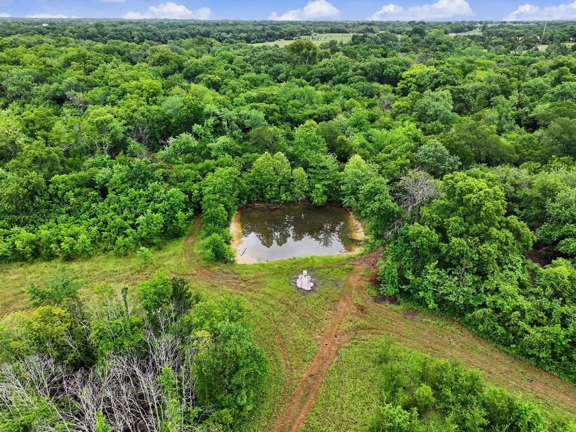 56 acres in Collin County - photo 10