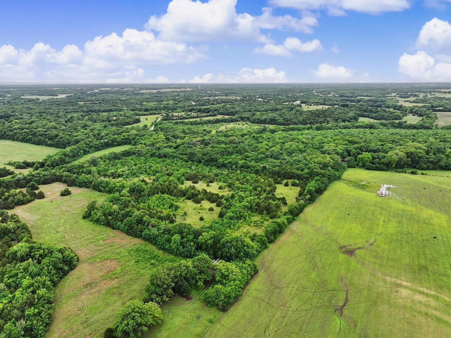 56 acres in Collin County - photo 8