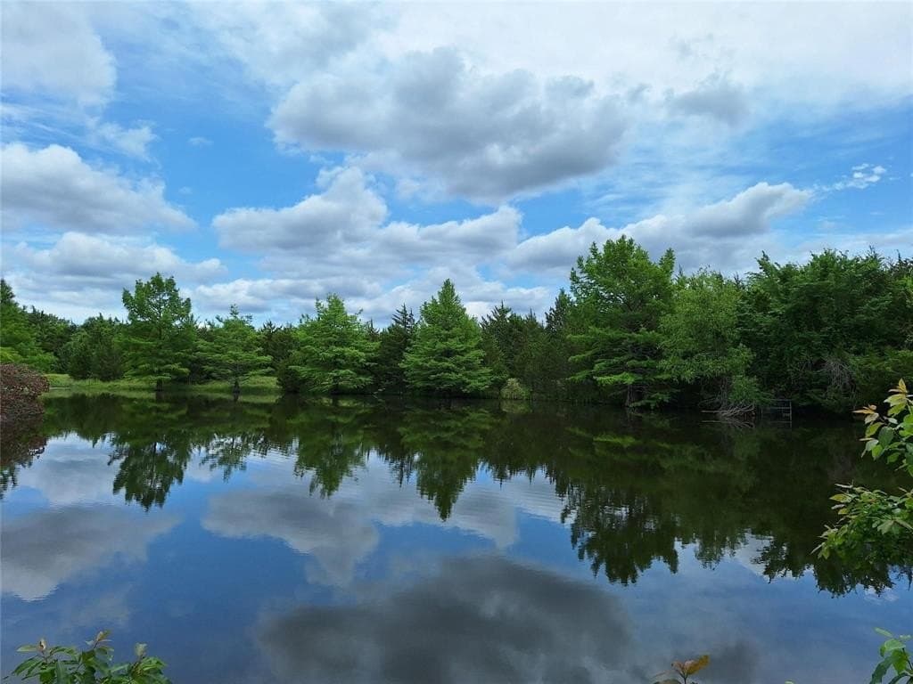 120.54 acres in Fannin County gallery image 3