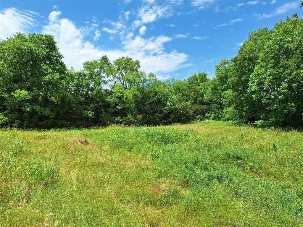 120.54 acres in Fannin County featured view