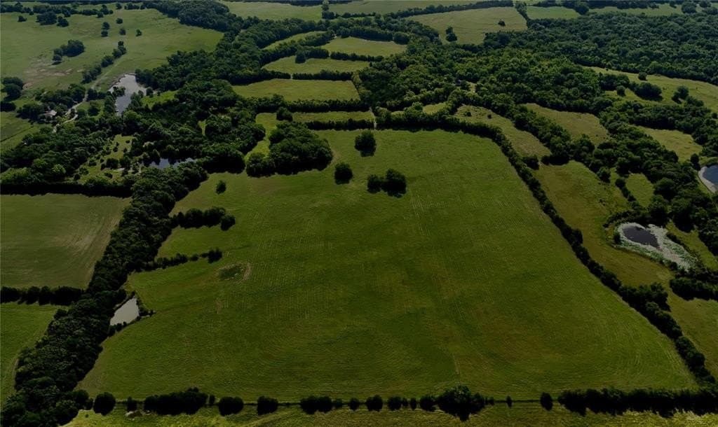 120.54 acres in Fannin County gallery image 2