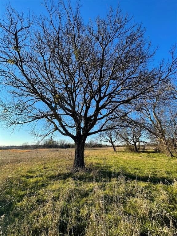 57.65 acres in Hunt County gallery image 4