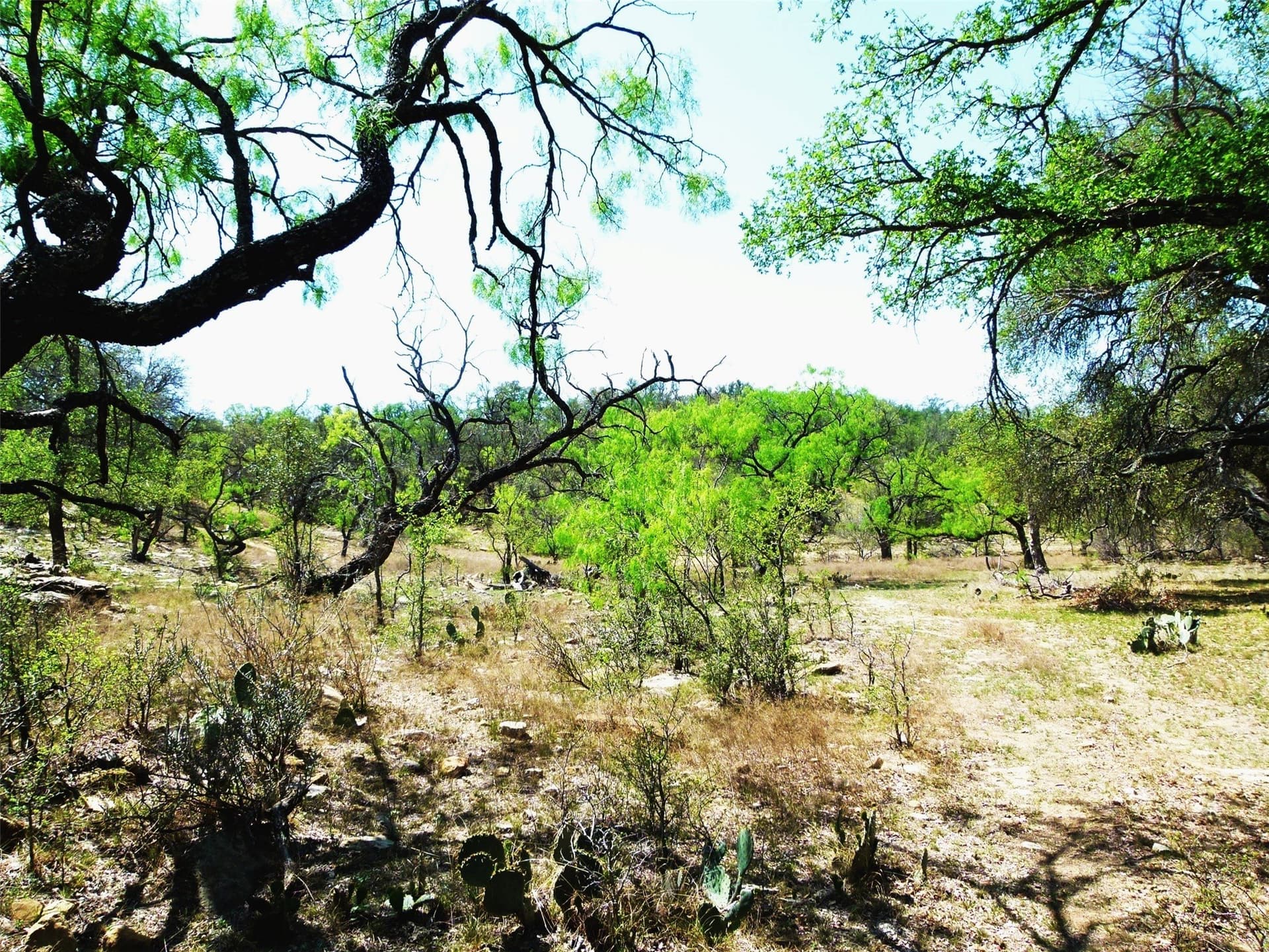 336.01 acres in Brown County gallery image 2