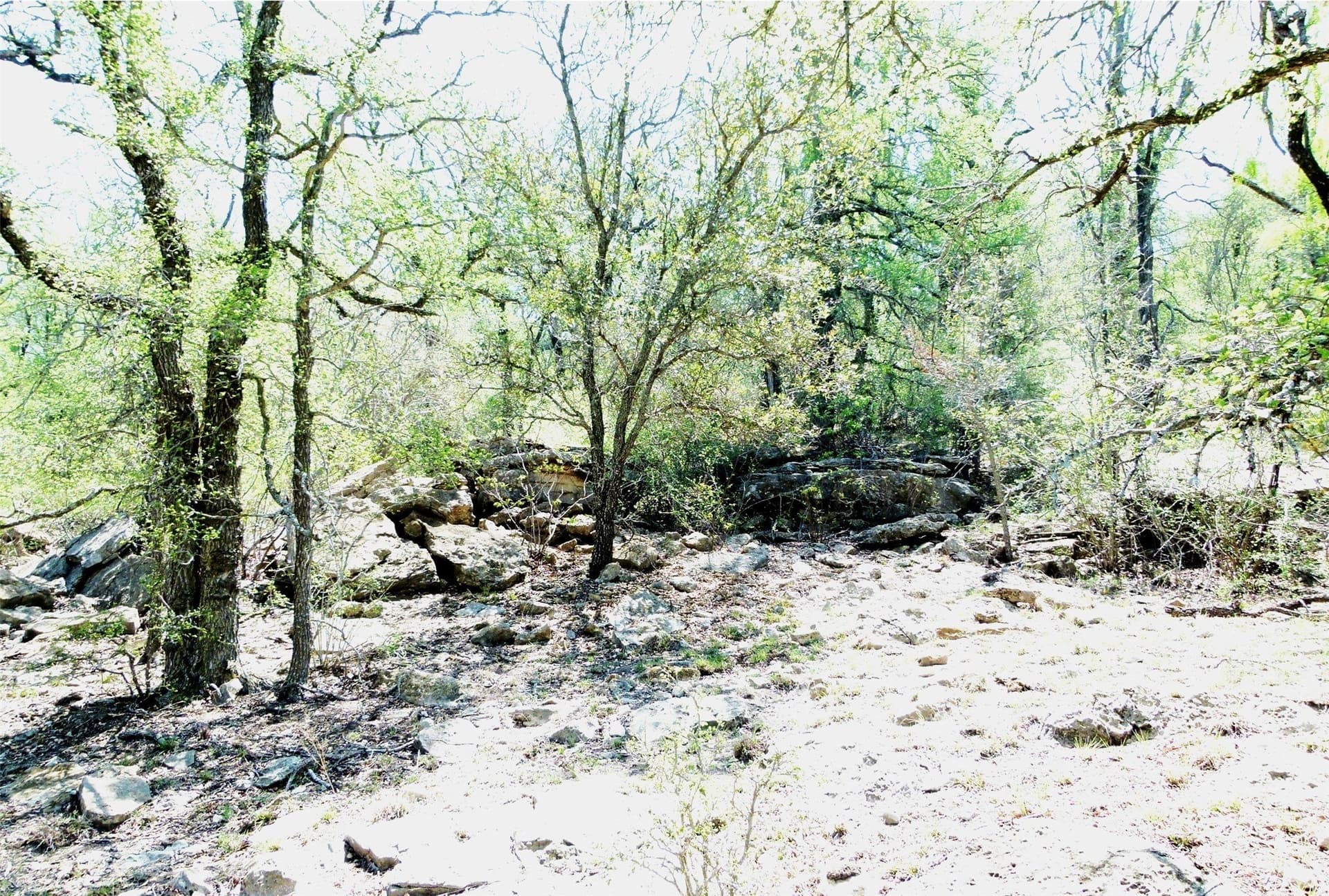 336.01 acres in Brown County featured view