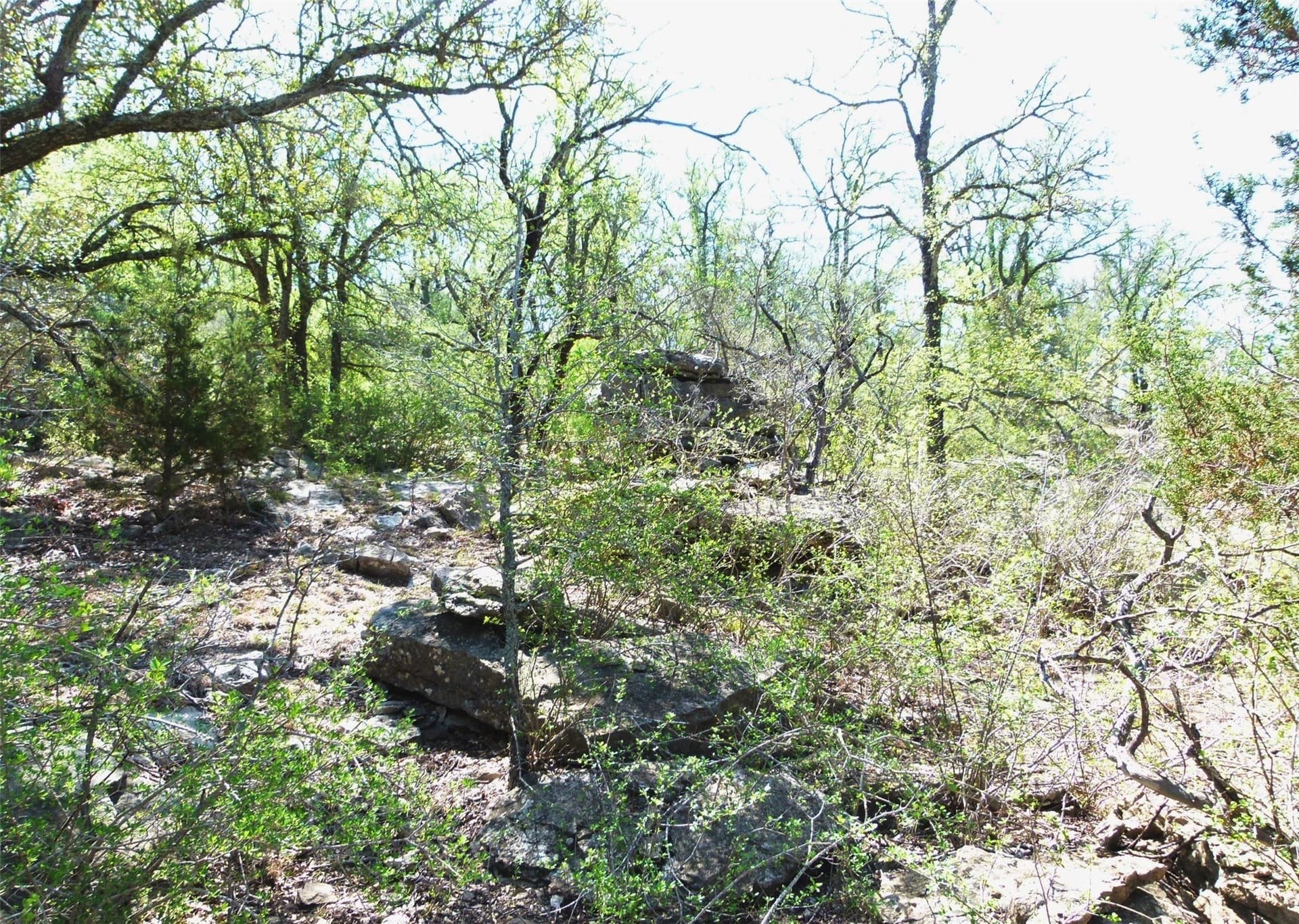 336.01 acres in Brown County gallery image 3