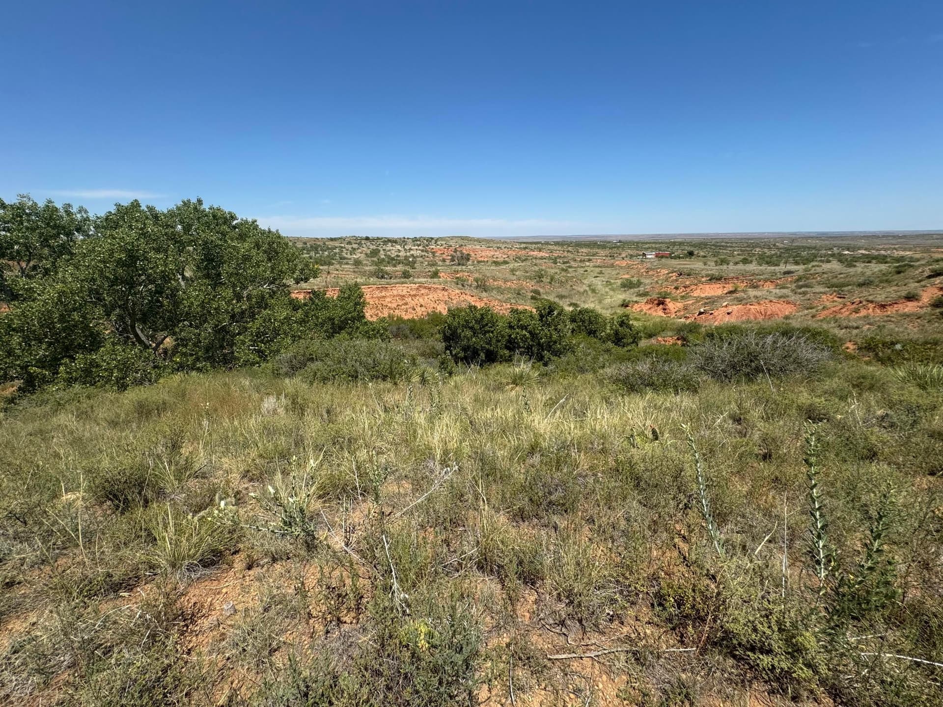5.69 acres in Randall County