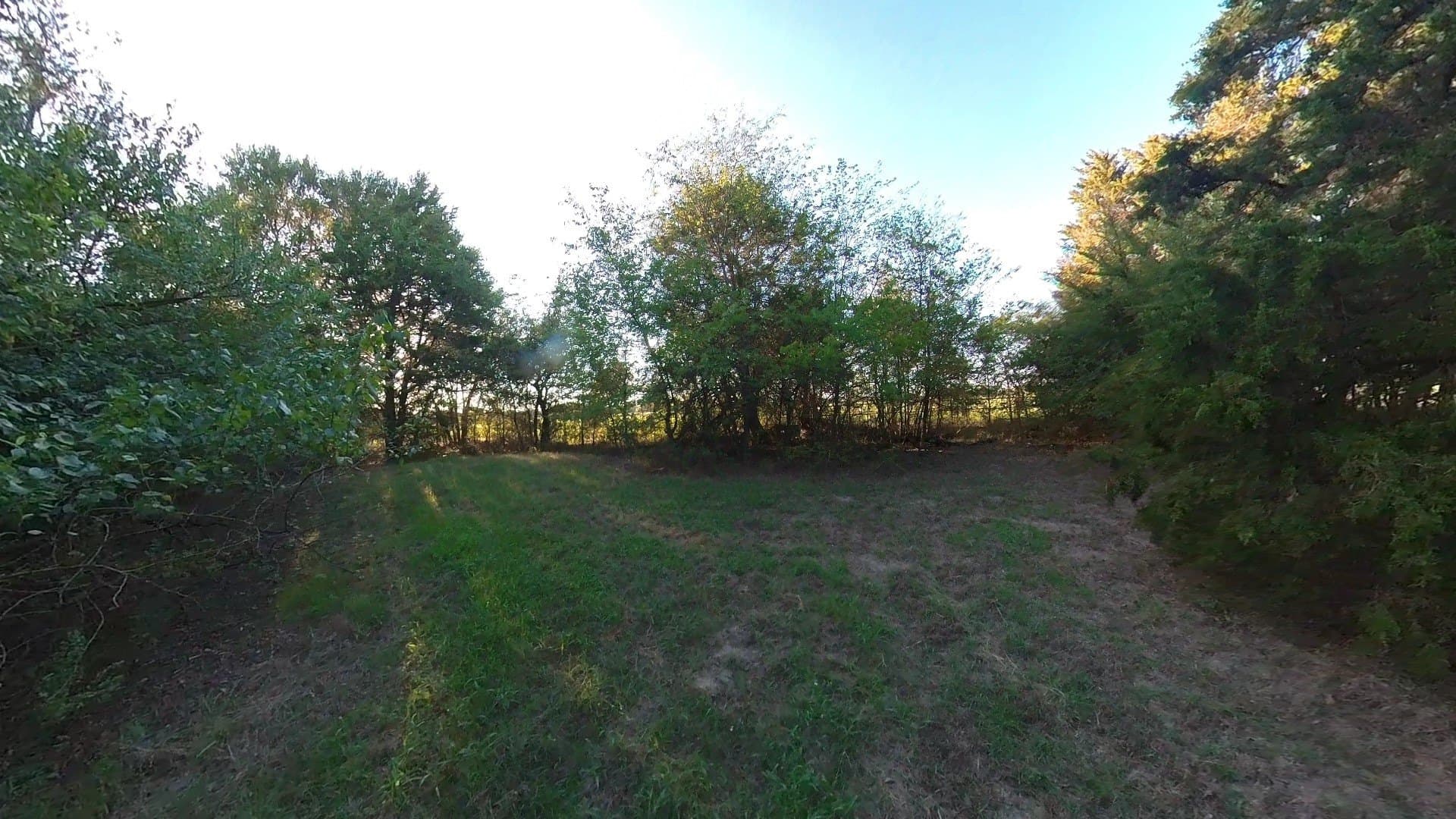 4.83 acres in Navarro County - photo 10