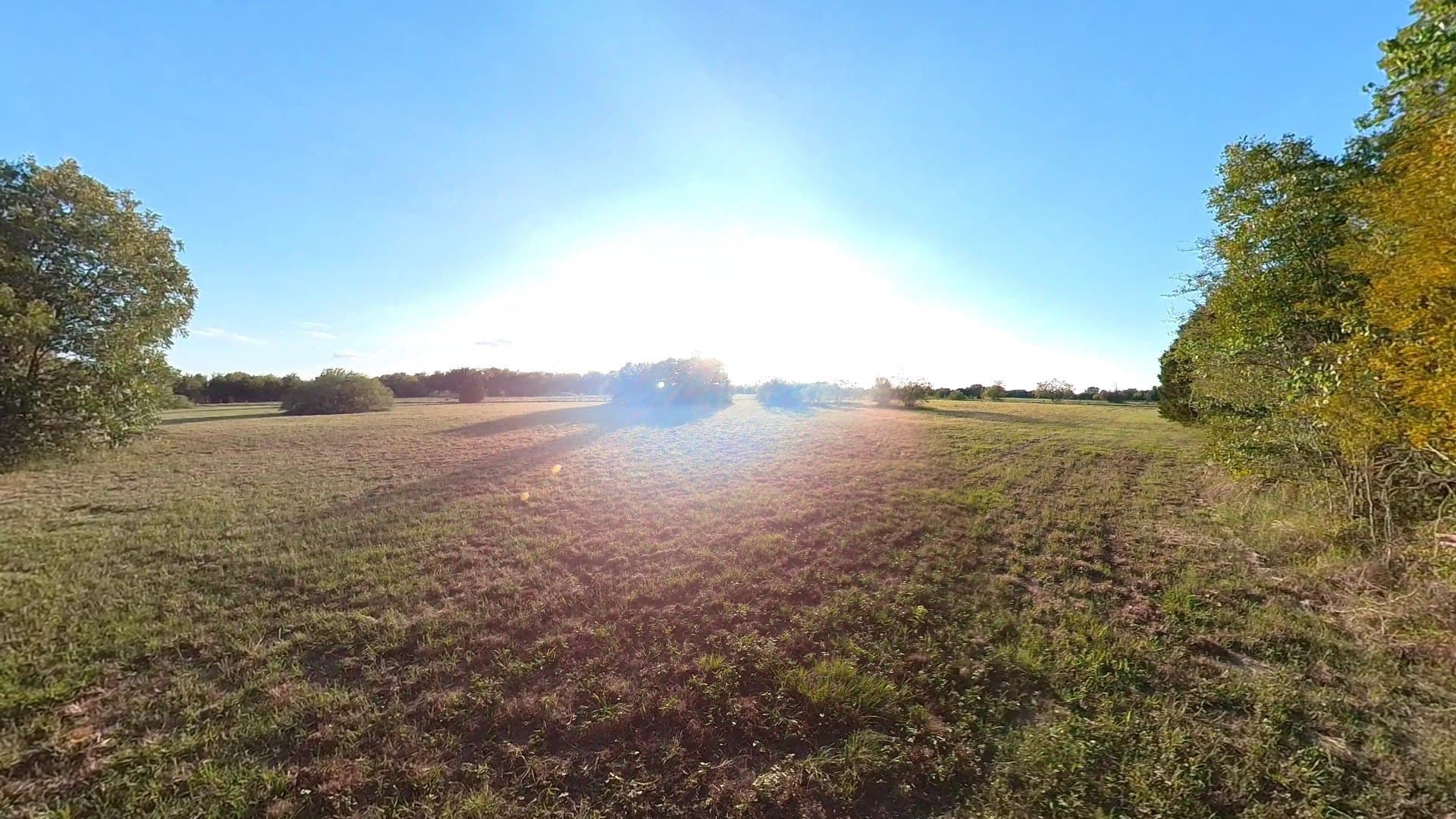 4.83 acres in Navarro County - photo 6