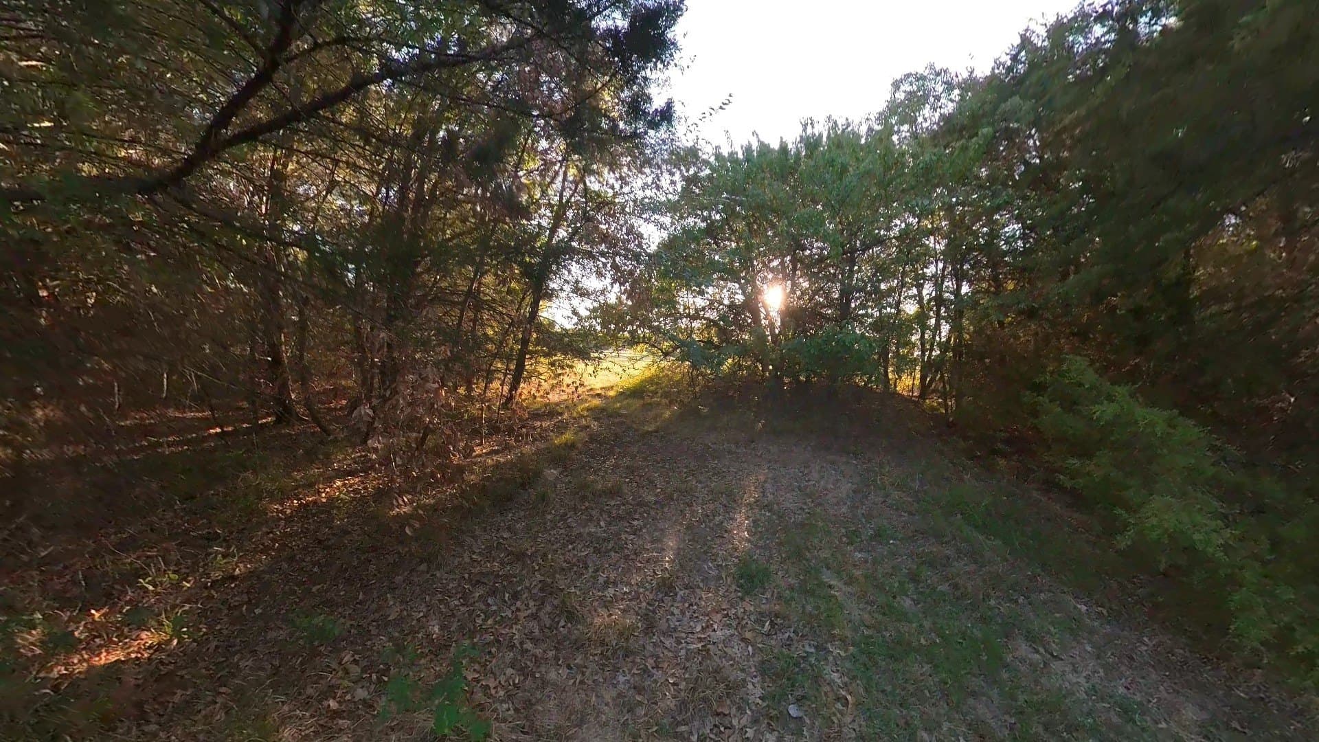 4.83 acres in Navarro County - photo 8