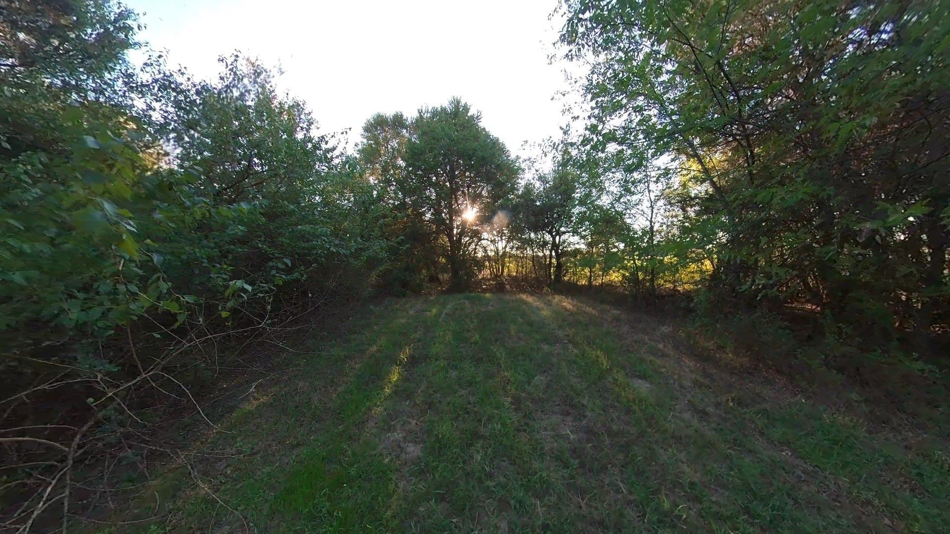 4.83 acres in Navarro County - photo 11