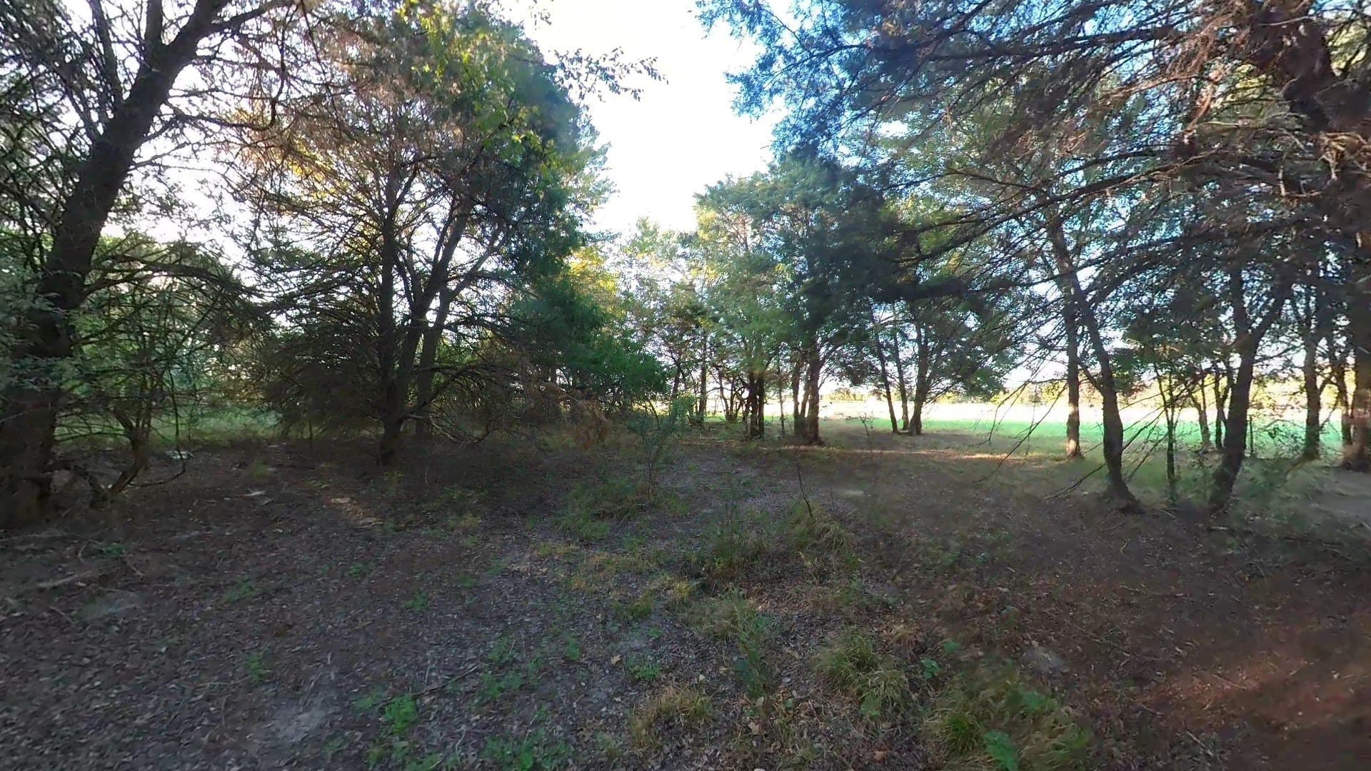 4.83 acres in Navarro County - photo 9