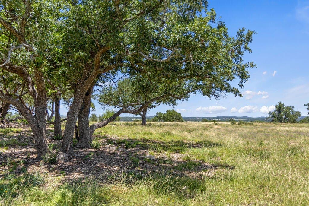56.68 acres in Blanco County - photo 18